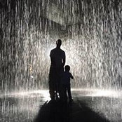 David Tuchman's photo