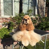 Patricia Elkins's photo