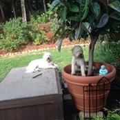 Lori Milam's photo