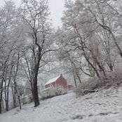 Cindy Distel's photo