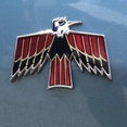 The Phoenix Photography's profile photo