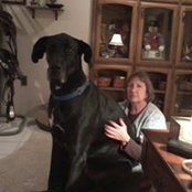 Terry Johnson's photo