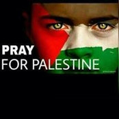 Dina Elali's photo