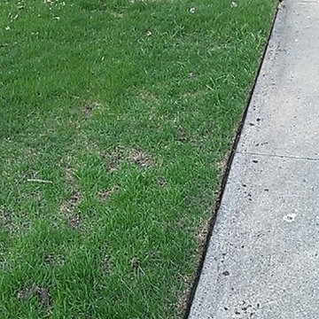 Lawn Care