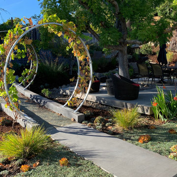 San Rafael Eichler Front and Back Yard Remodel