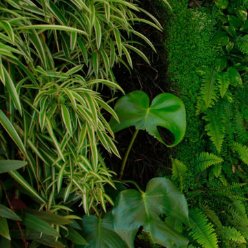 Jardín vertical E. Andrés