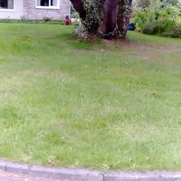 first cut of lawn with new VIking mower