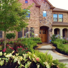 Frontyard