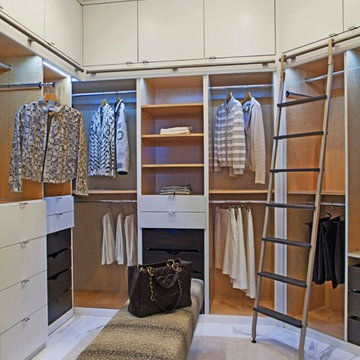 Transitional Penthouse Design