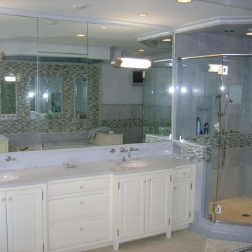Mirror w/Integral Medicine Cabinet & Frameless Shower