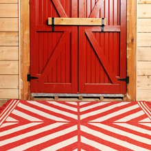 painted floors