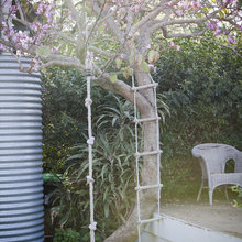my backyard