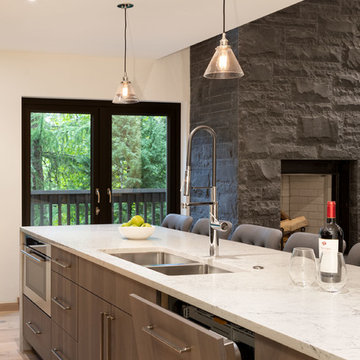 Whistler Snowy Creek Chalet Reno