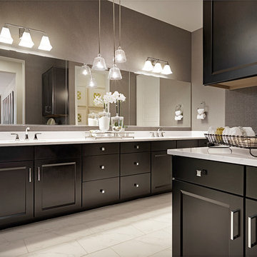 Raven model home in Arizona