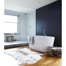 shelley's  master bath ideas