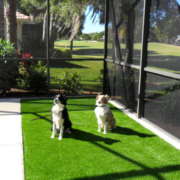 Residential Lawn