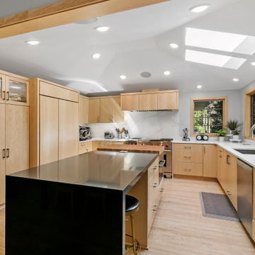 Edina Whole House Remodel