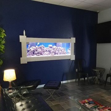 180 gal Reef Aquarium in wall