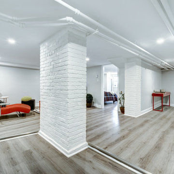 Basement Renovation