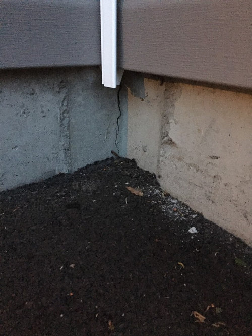 Should I worry about these cracks in the foundation?