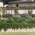 Foto di profilo di giardino toscana srl