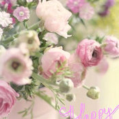 Julie Overand's photo