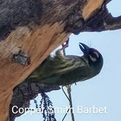 Foto von Raj Raman