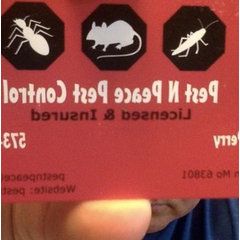 Pest N Peace Pest Control