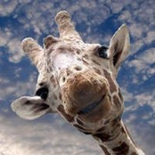 Julia Schmitt's photo