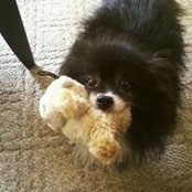 Stephanie Mellott's photo