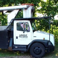 Lovely Tree Service