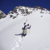 Joe Anderson's photo