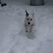 Brianne Crosswhite's photo