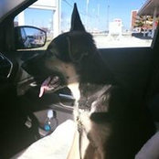 Renee Heaston's photo