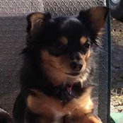 Jeannie Moore's photo