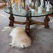 Cindy McGee's photo