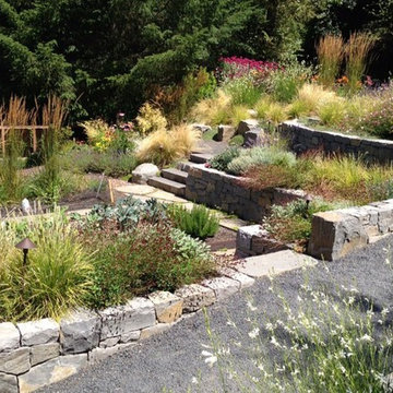 Audubon Certified Backyard Habitat
