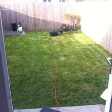 My garden
