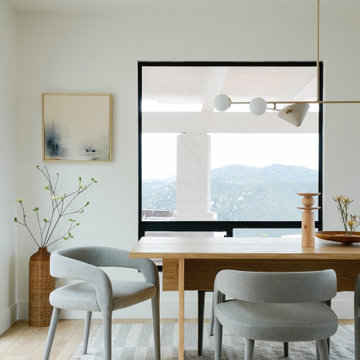 Lake Hodges Whole home Remodel