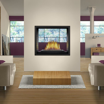 Napoleon Fireplaces