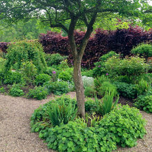 Perspective Planting
