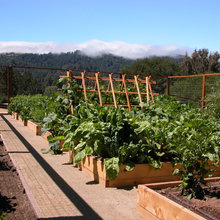 Bottlerock Garden
