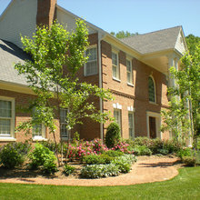Garden ideas