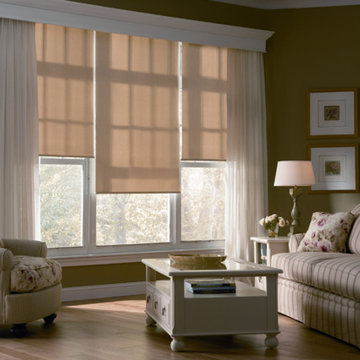 Screen & Roller Shades