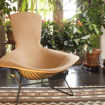 Mid Century Modern Chairs