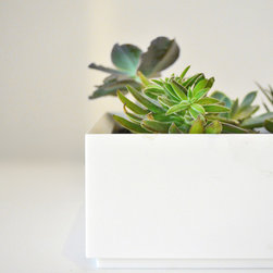 Gift Ideas - Products
