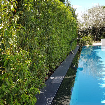 NIVEKO POLYSTONE Überlaufbecken Modell Advance in grau 10,00 x 3,60 x 1,50 m mit