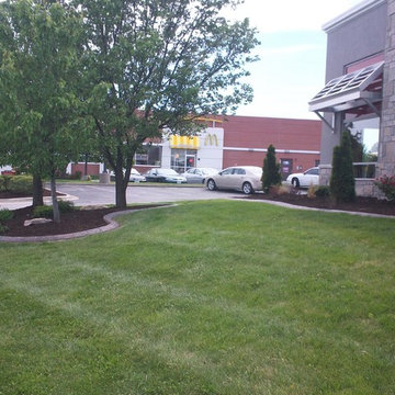 Landscaping Edging