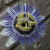 Barbara M's photo