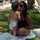 Rotem Cohen